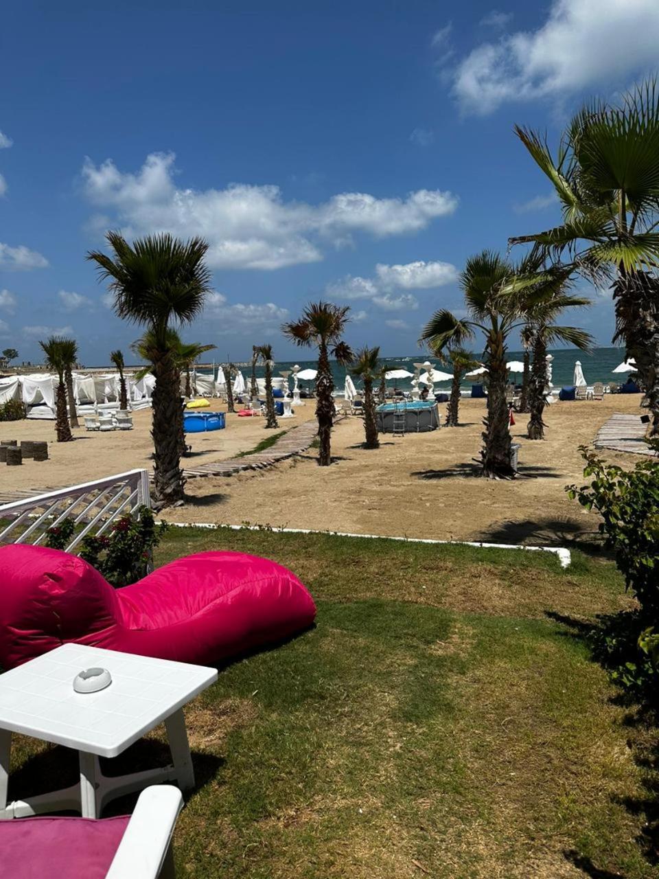 Paradise Complex Alexandria