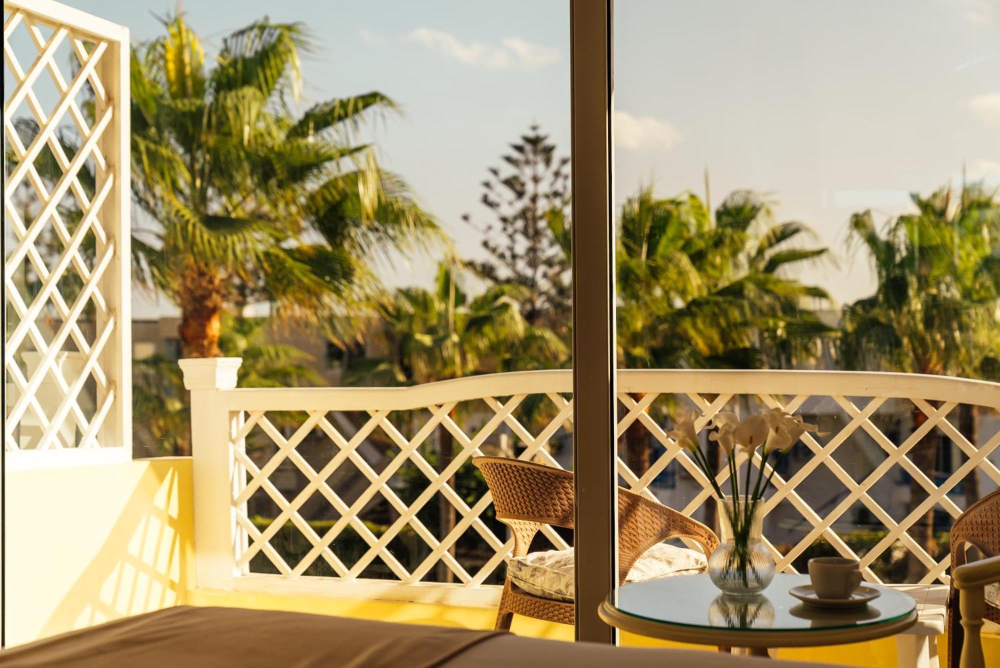 Complex Paradise Alexandria